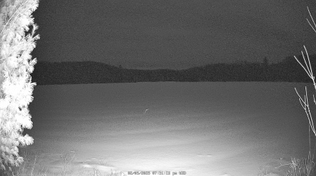 Image from 2025-02-05