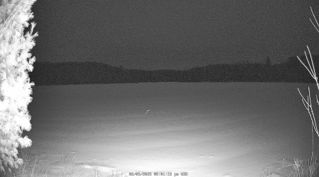 Image from 2025-02-05