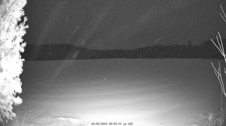 Image from 2025-02-05