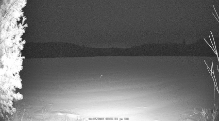Image from 2025-02-05