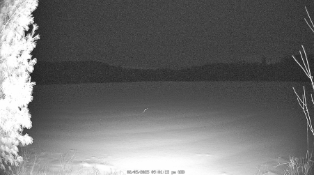 Image from 2025-02-05