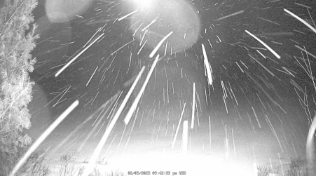 Image from 2025-02-05