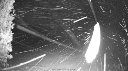 Image from 2025-02-05
