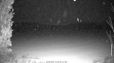 Image from 2025-02-05