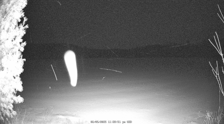 Image from 2025-02-05