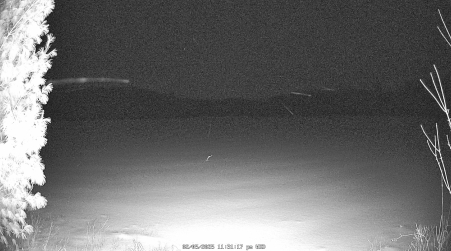 Image from 2025-02-05