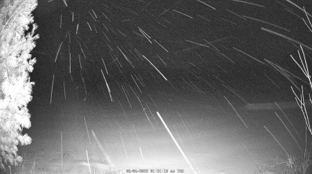 Image from 2025-02-06