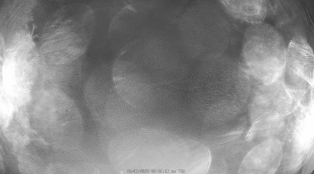 Image from 2025-02-06