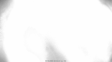 Image from 2025-02-06