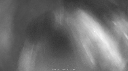 Image from 2025-02-06