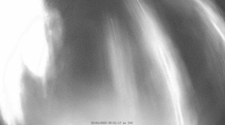 Image from 2025-02-06