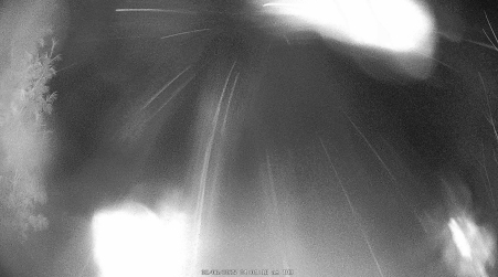 Image from 2025-02-06