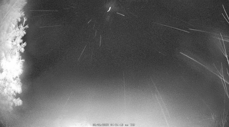 Image from 2025-02-06