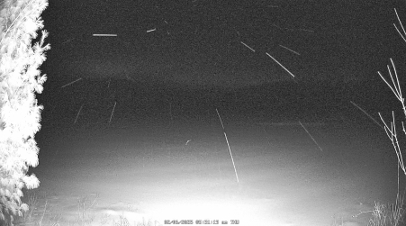 Image from 2025-02-06