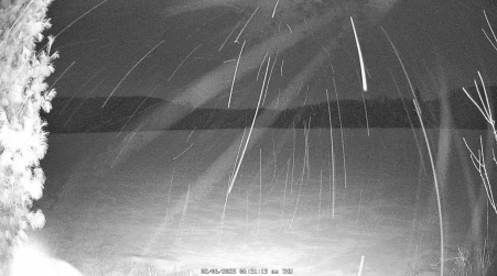 Image from 2025-02-06