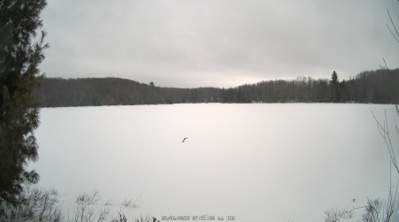Image from 2025-02-06
