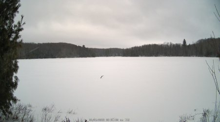 Image from 2025-02-06