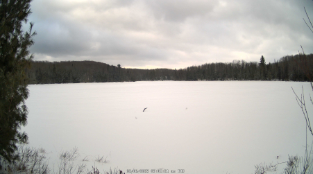Image from 2025-02-06