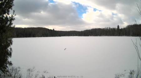 Image from 2025-02-06