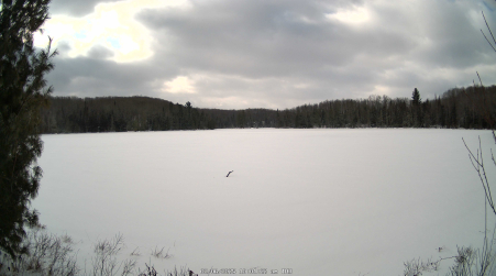 Image from 2025-02-06