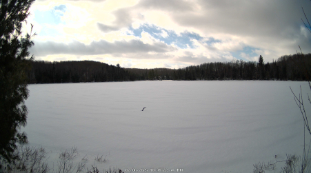 Image from 2025-02-06