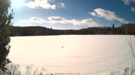 Image from 2025-02-06