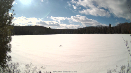 Image from 2025-02-06