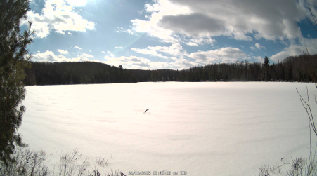 Image from 2025-02-06