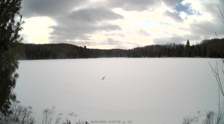 Image from 2025-02-06