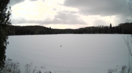 Image from 2025-02-06