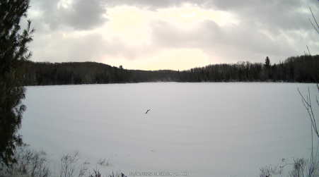 Image from 2025-02-06