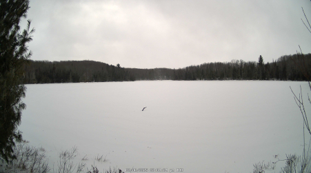Image from 2025-02-06