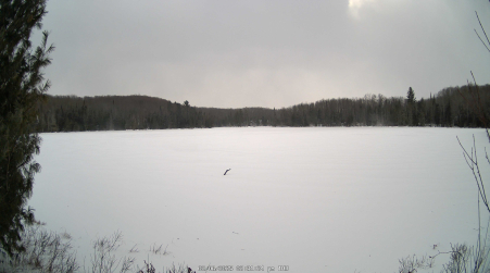 Image from 2025-02-06