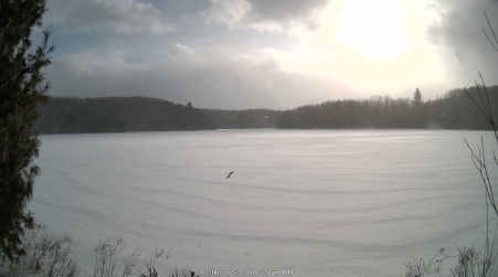 Image from 2025-02-06