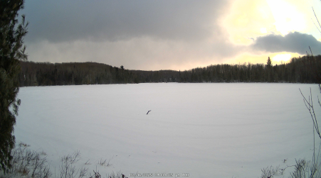 Image from 2025-02-06