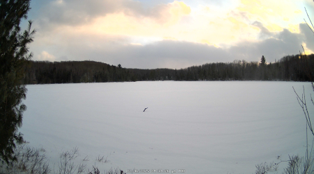 Image from 2025-02-06