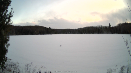 Image from 2025-02-06