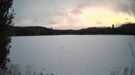 Image from 2025-02-06