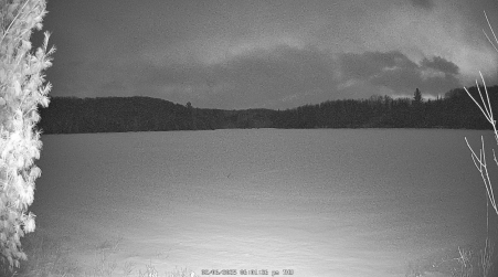 Image from 2025-02-06
