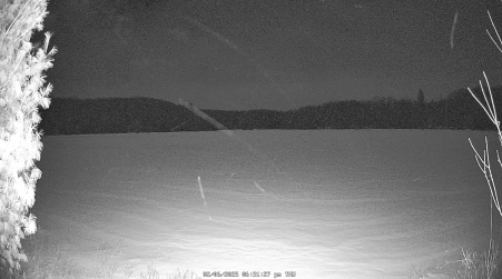 Image from 2025-02-06