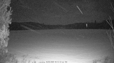 Image from 2025-02-06
