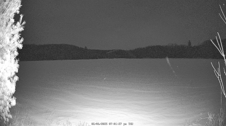 Image from 2025-02-06
