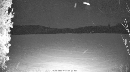 Image from 2025-02-06