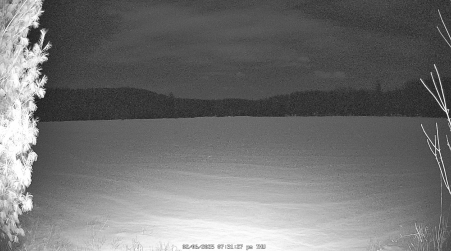 Image from 2025-02-06