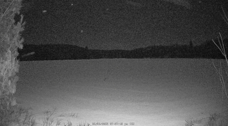Image from 2025-02-06