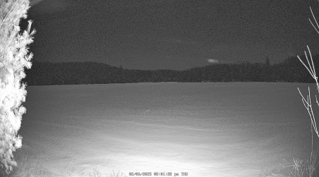 Image from 2025-02-06