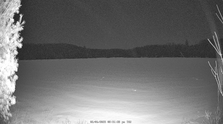 Image from 2025-02-06