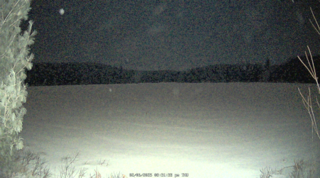 Image from 2025-02-06