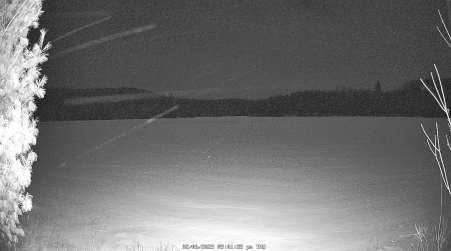 Image from 2025-02-06