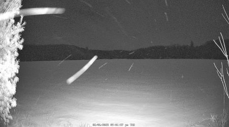 Image from 2025-02-06